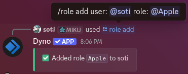 /role add command example