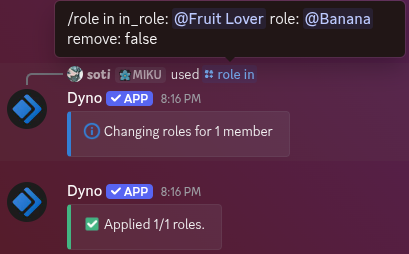 /role in command example
